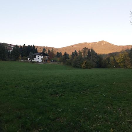 Ferienwohnung Traummichel Lam Εξωτερικό φωτογραφία